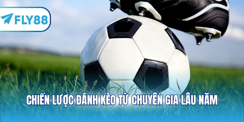 Chiến lược đánh kèo từ chuyên gia lâu năm