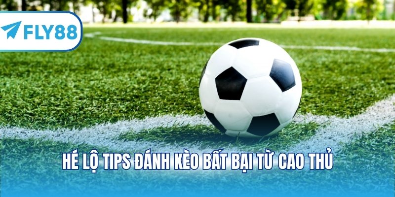 Hé lộ tips đánh kèo bất bại từ cao thủ